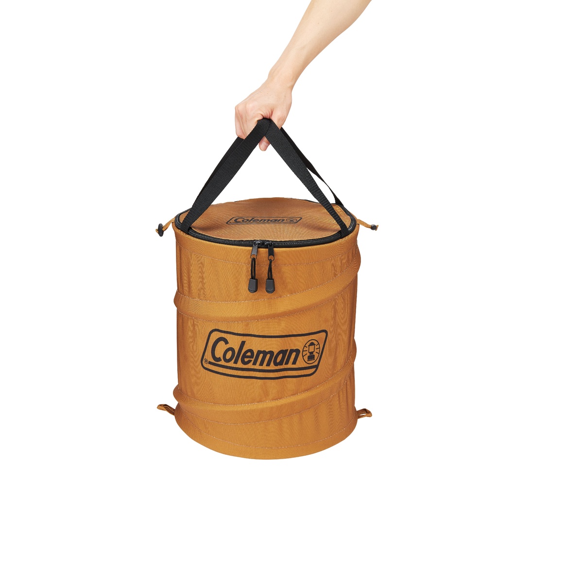 ポップアップボックス(コヨーテ)