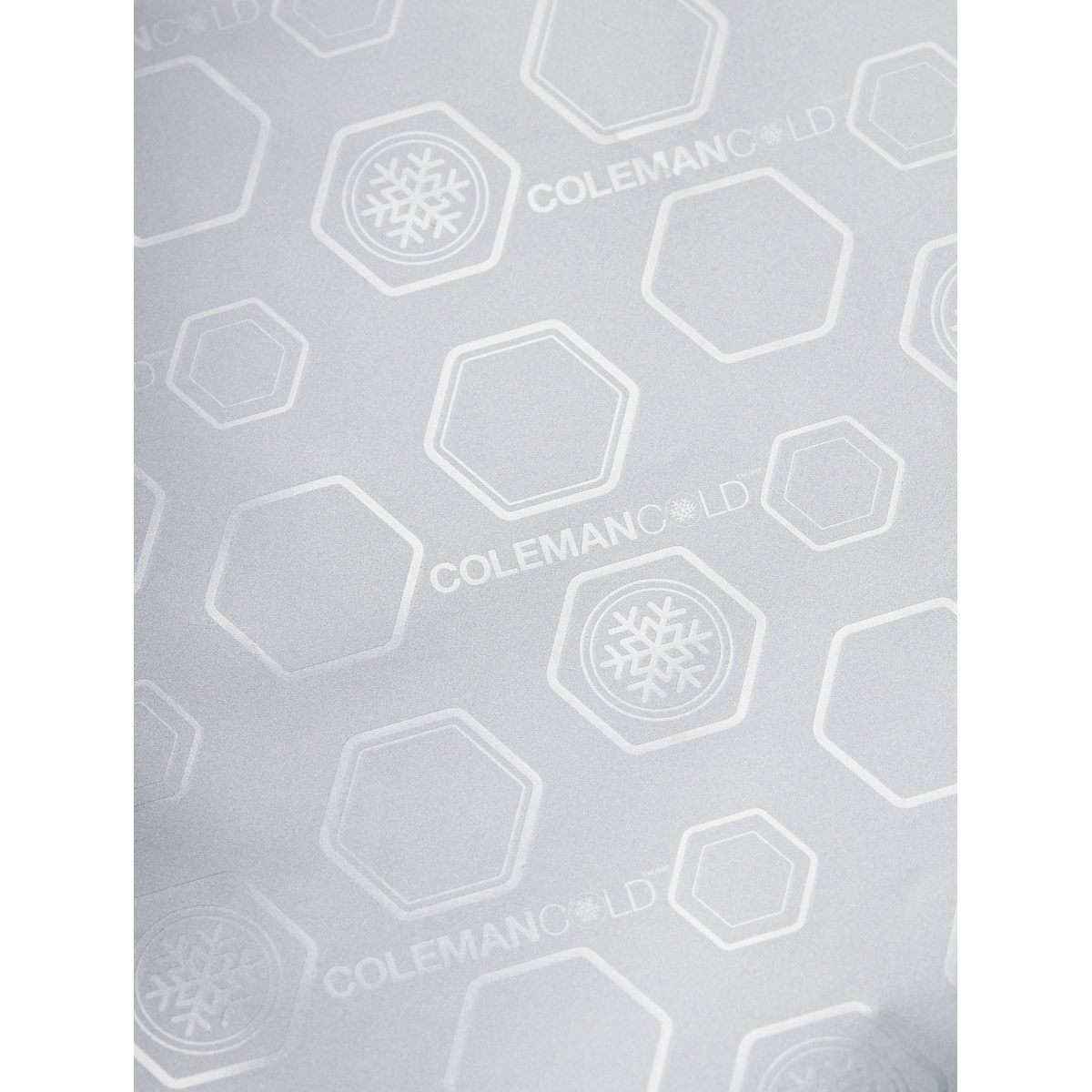 デイリークーラー/30L (ミスト)