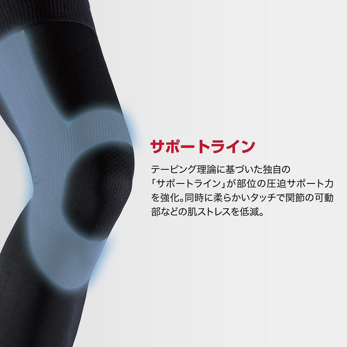 コンディショニング フルレッグ