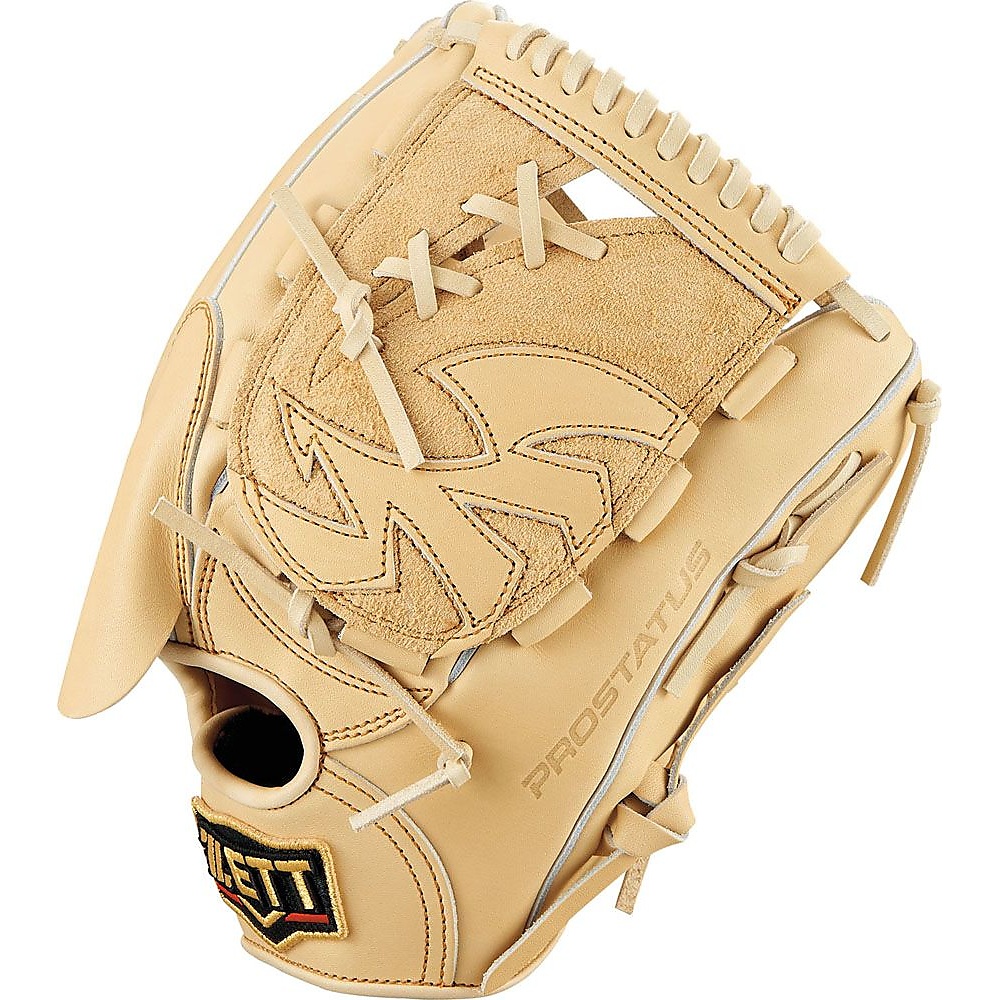 コウシキグラブ(プロステイタス)2101