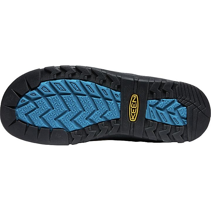 JASPER ROCKS SP (ジャスパー　ロックス　エスピー)