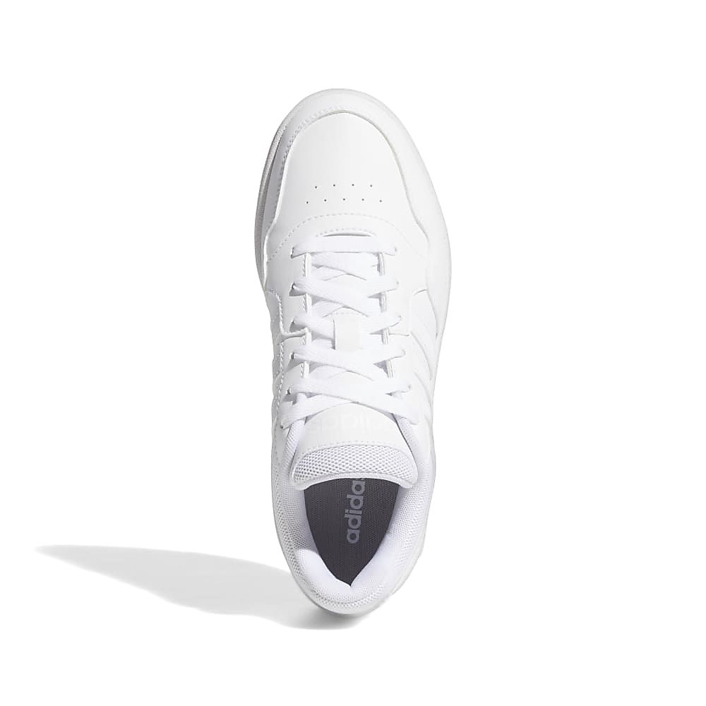 HOOPS 3.0