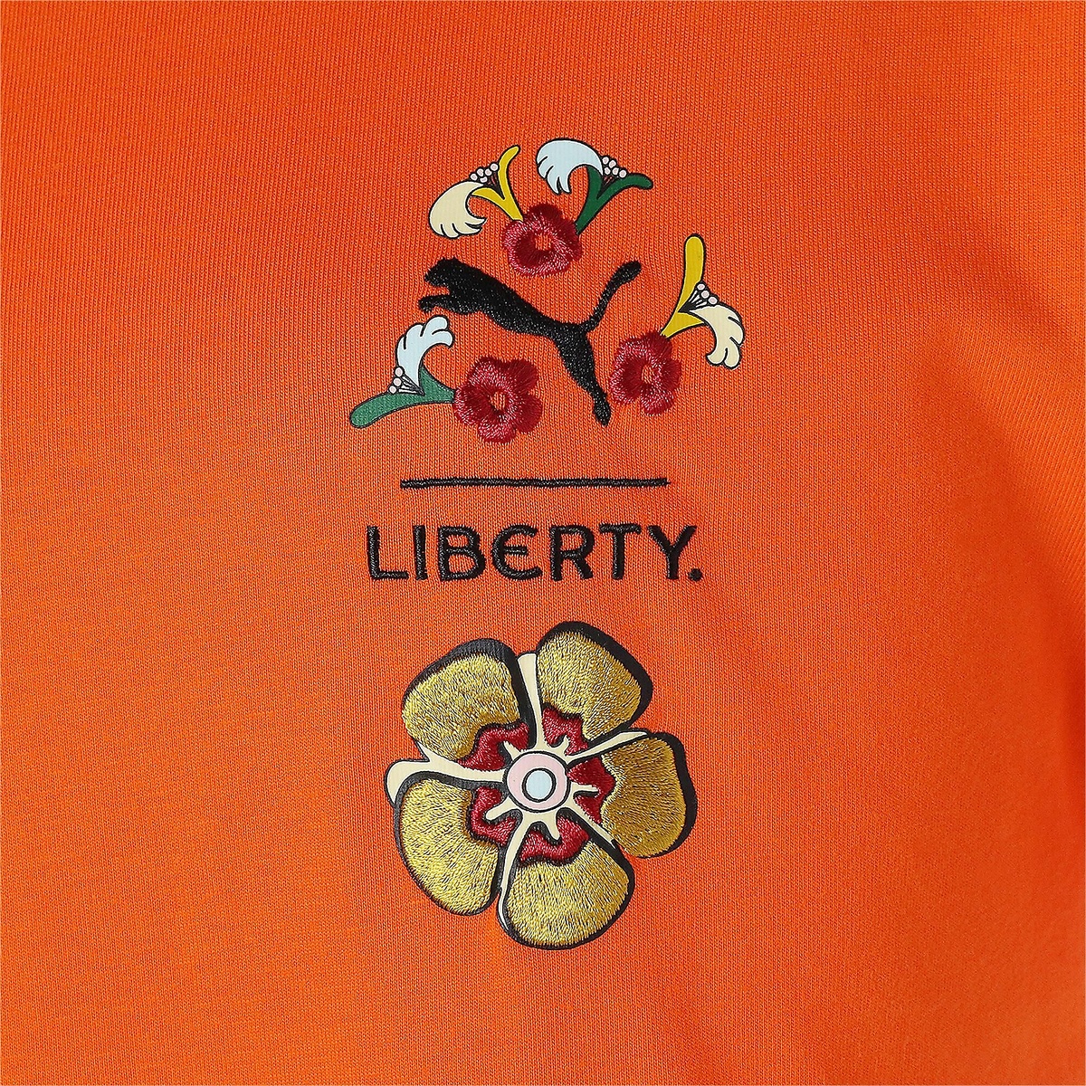 PUMA X LIBERTY グラフィック TE