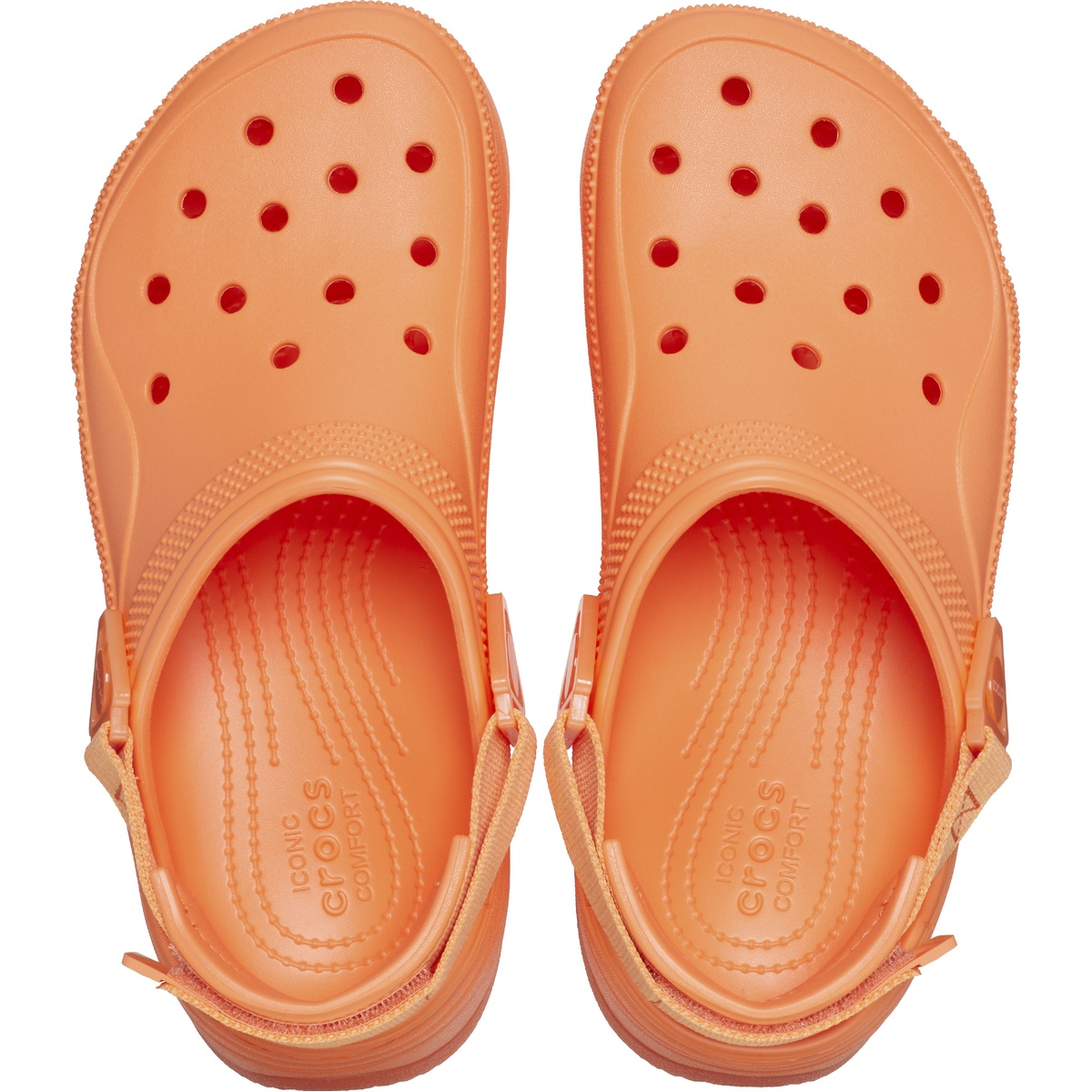 ＣＬＡＳＳＩＣ　ＨＩＫＥＲ　ＸＳＣＡＰＥ　ＣＬＯＧ