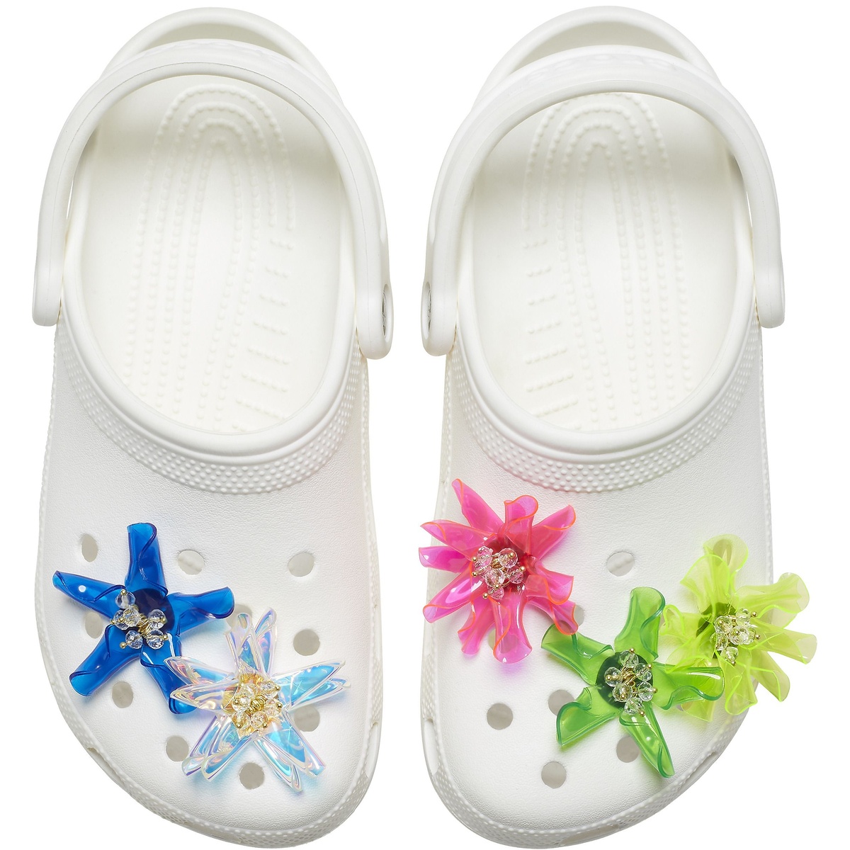 ＴＲＯＰＩＣＡＬ　ＴＥＣＨＮＯ　ＦＬＯＷＥＲ　５　ＰＡＣＫ