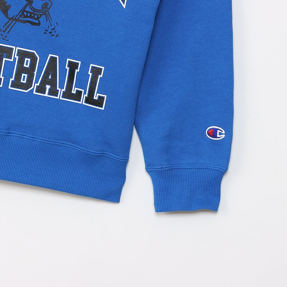 CREWNECKSWEATSHIRT