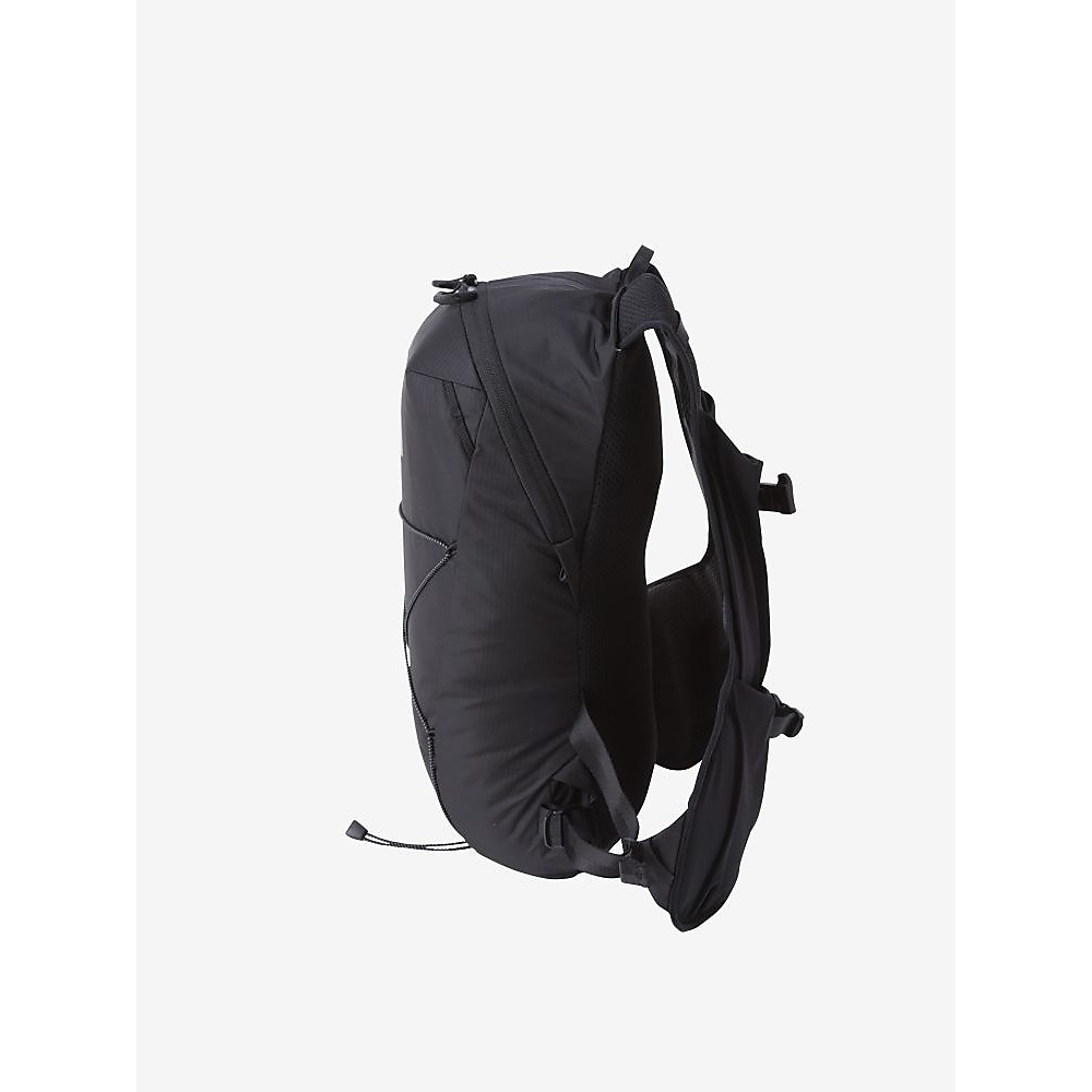 IBIS 10 (アイビス10)