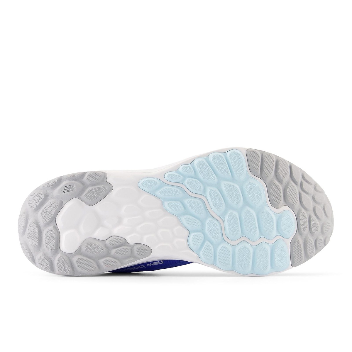 Fresh Foam Arishi v4