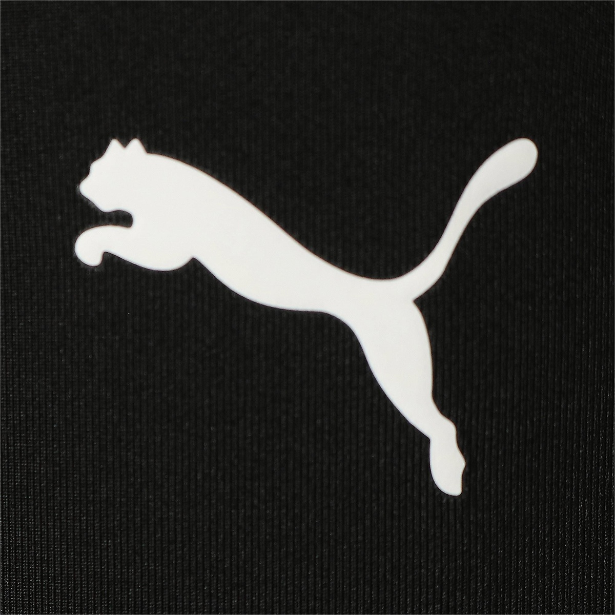 PUMA STRONG 3インチ タイツ