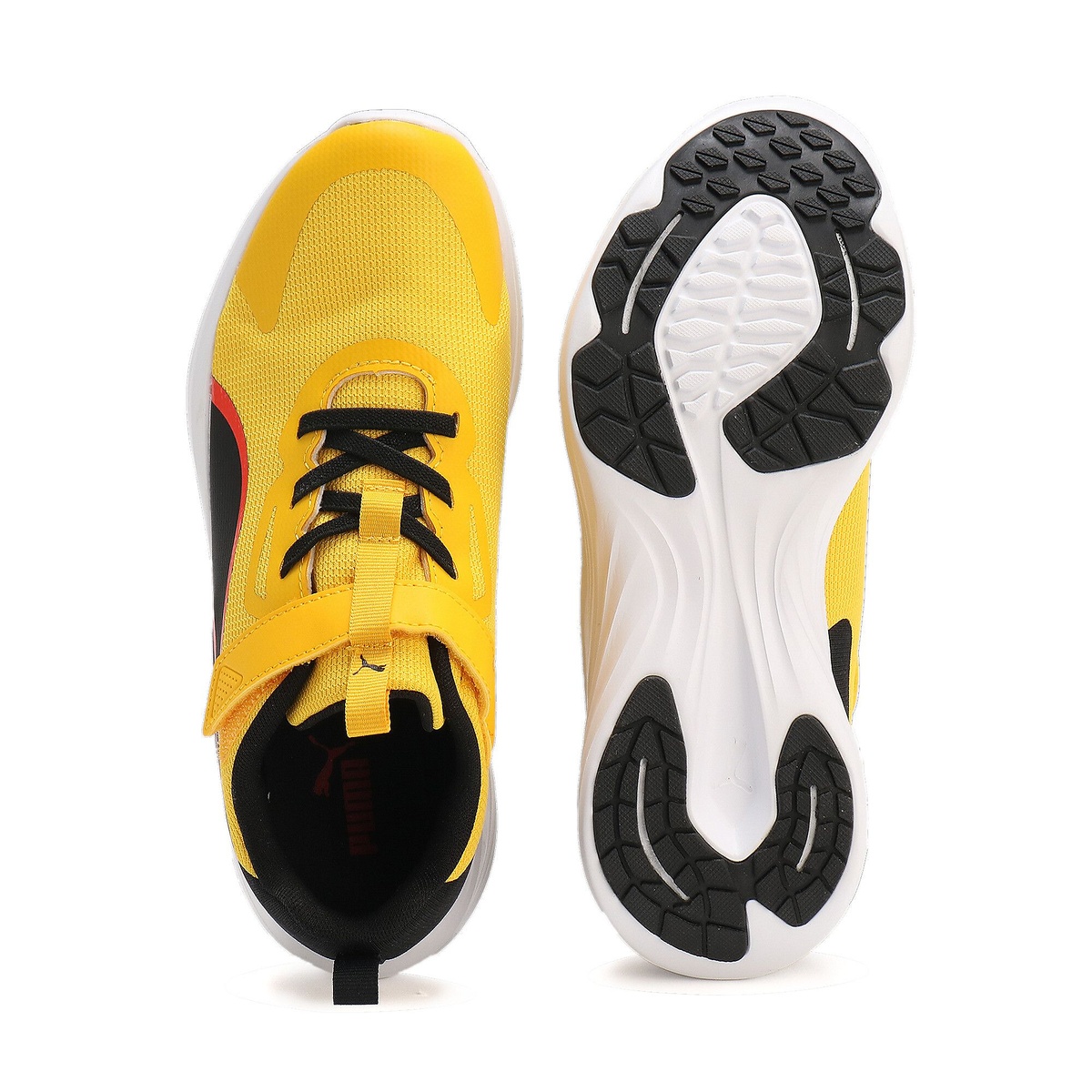 スピード モンスター Z