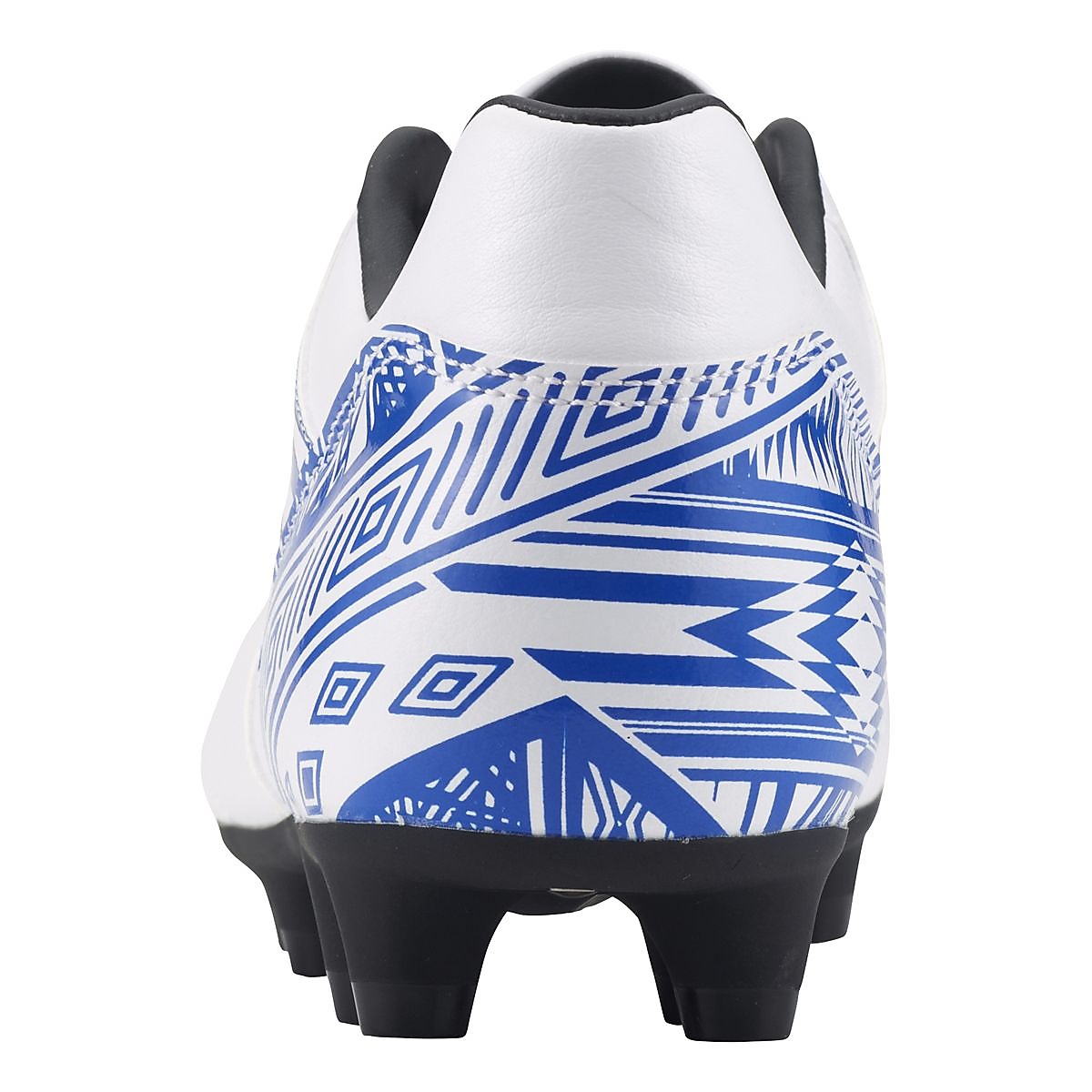 アクセレイター  HG