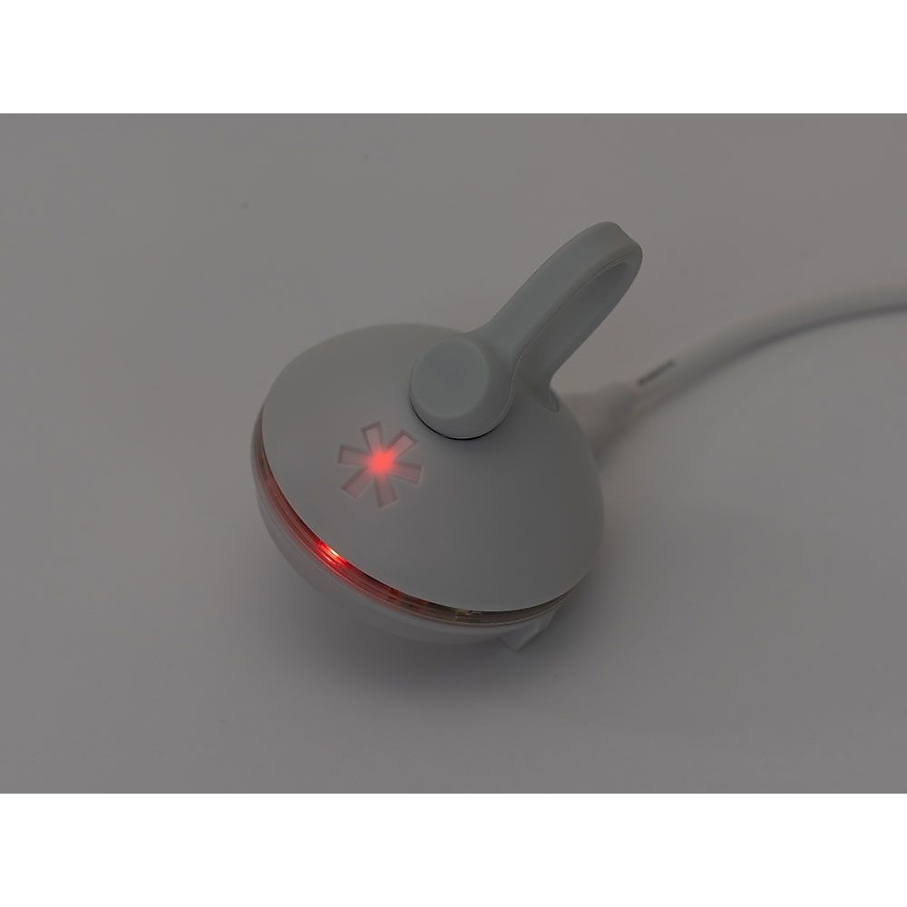 RBたねほおずき あさもや