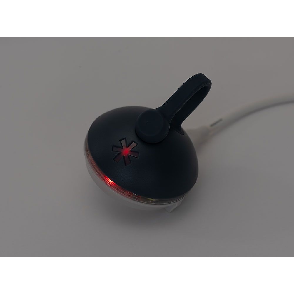 RBたねほおずき よぞら