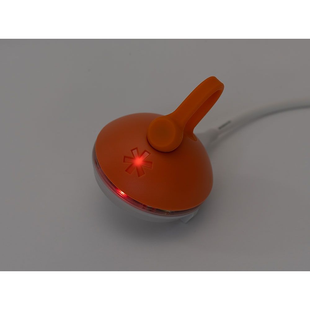 RBたねほおずき ひぐれ