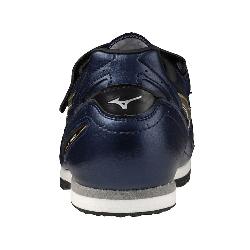 フィールドジオAJ JAPAN