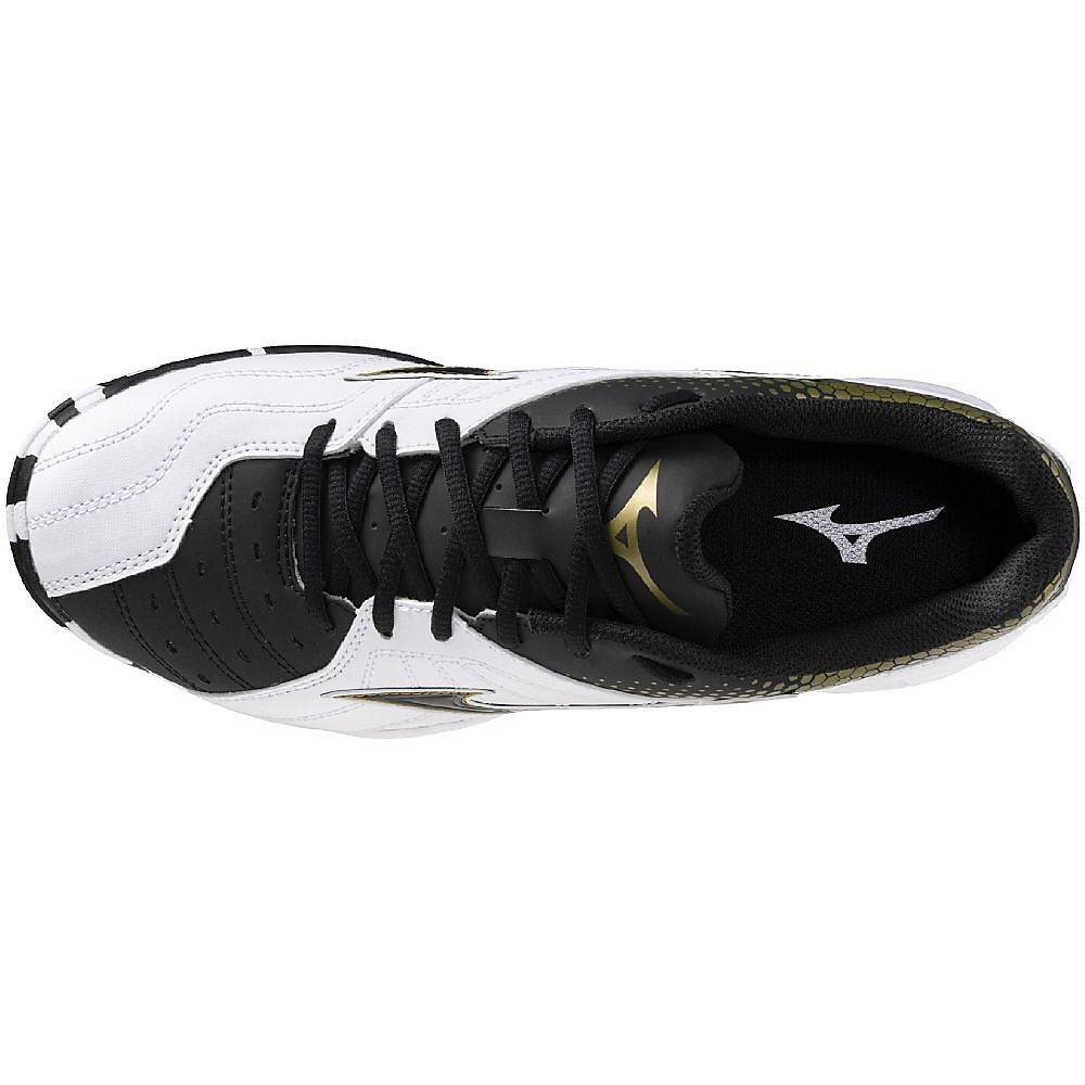 ウエーブガイア3 WIDE