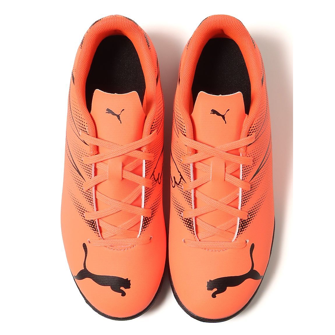 アタッカント TT JR