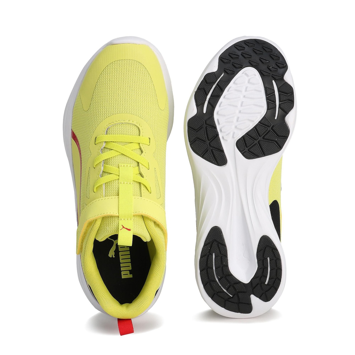 スピード モンスター V5