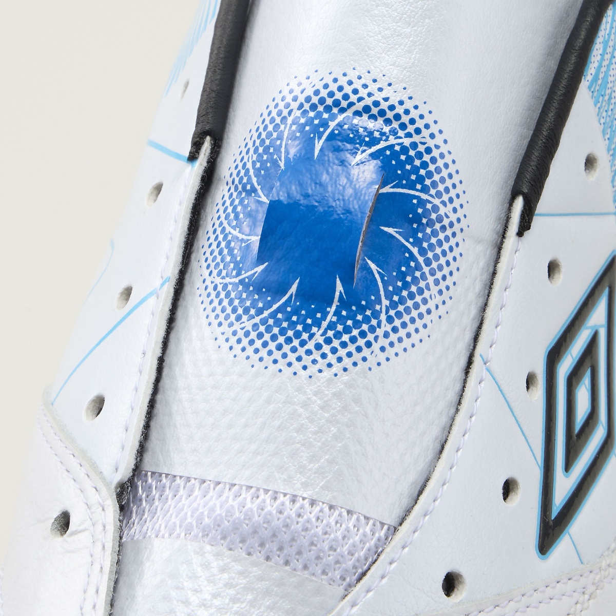 アクセレイター  f v3 HG