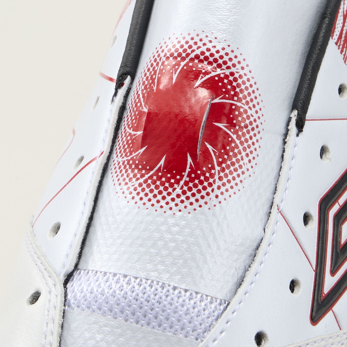 アクセレイター  b v3 HG