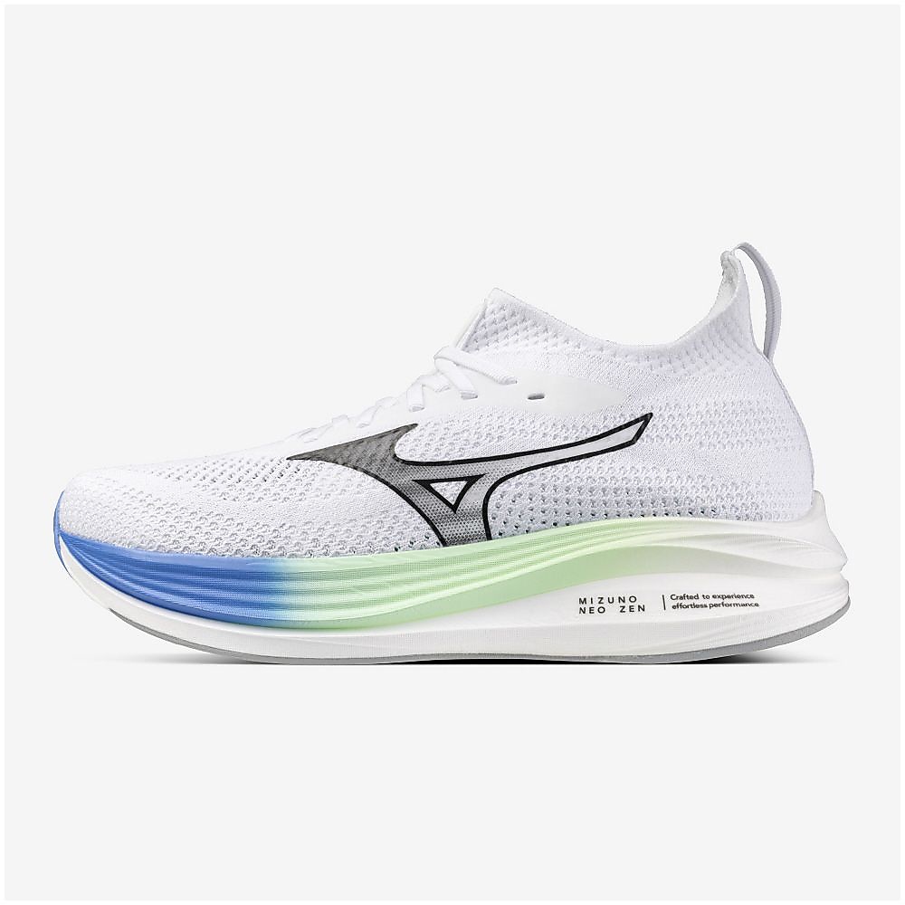 ミズノネオゼン