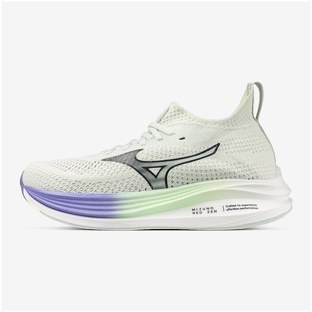 ミズノネオゼン