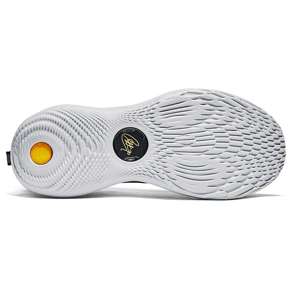 CURRY 12 WMDE