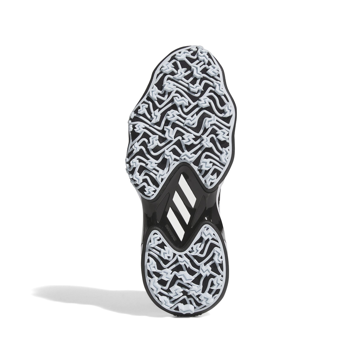 ウィメンズコードカオス25