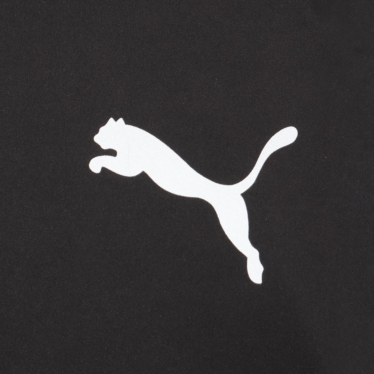 INDIVIWINTERIZED WINDPROOF PT