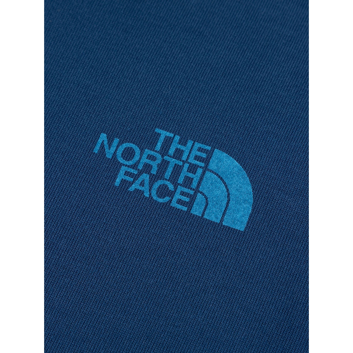 T L/S TNF Bug Free Graphic Tee (トドラーロングスリーブTNFバグフリーグラフィックティー)