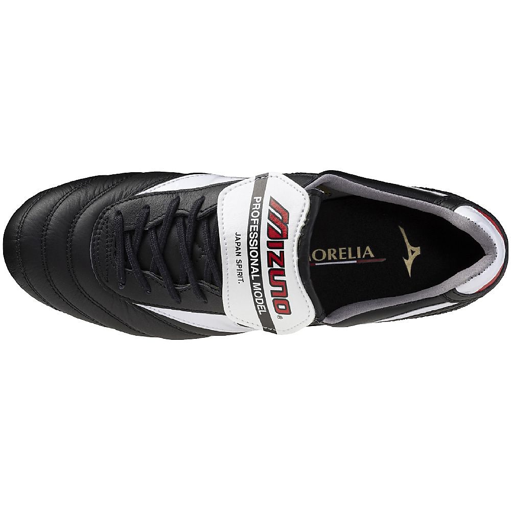 モレリア 2 JAPAN