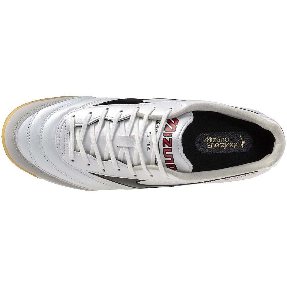 モレリア SALA PRO IN