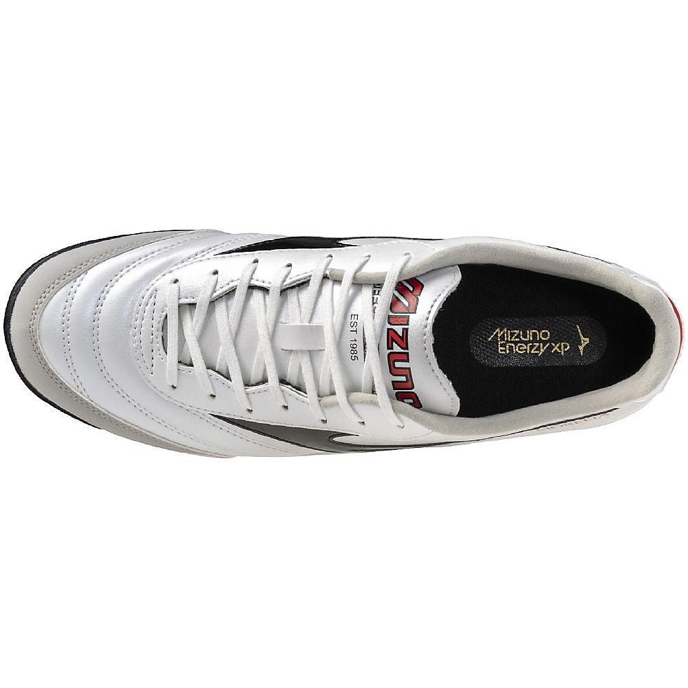 モレリア SALA PRO TF