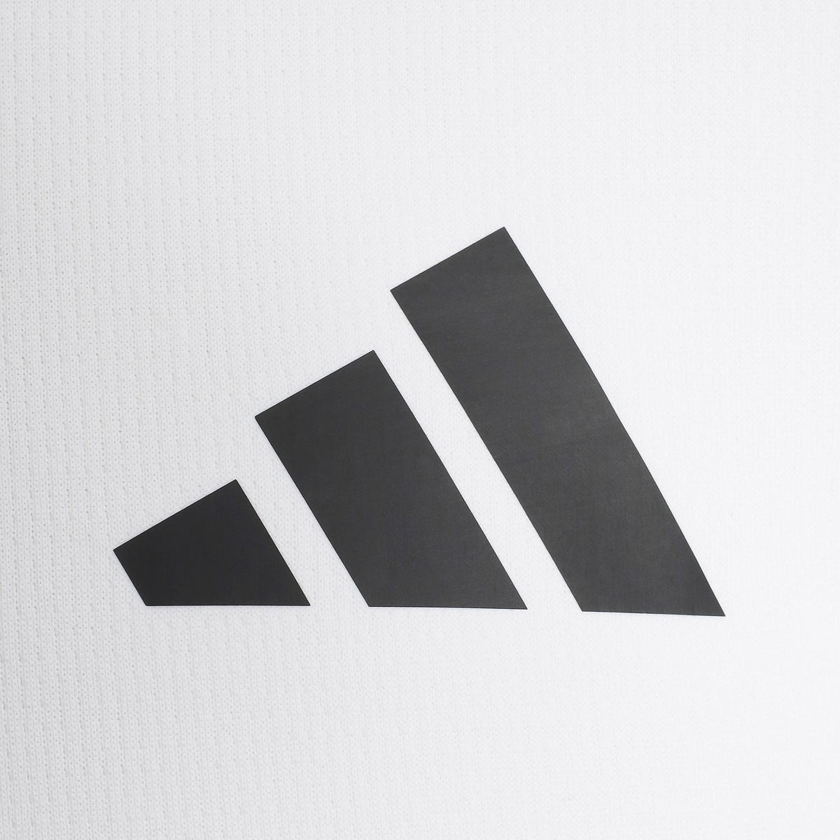 MCOOLBACKPTシャツ