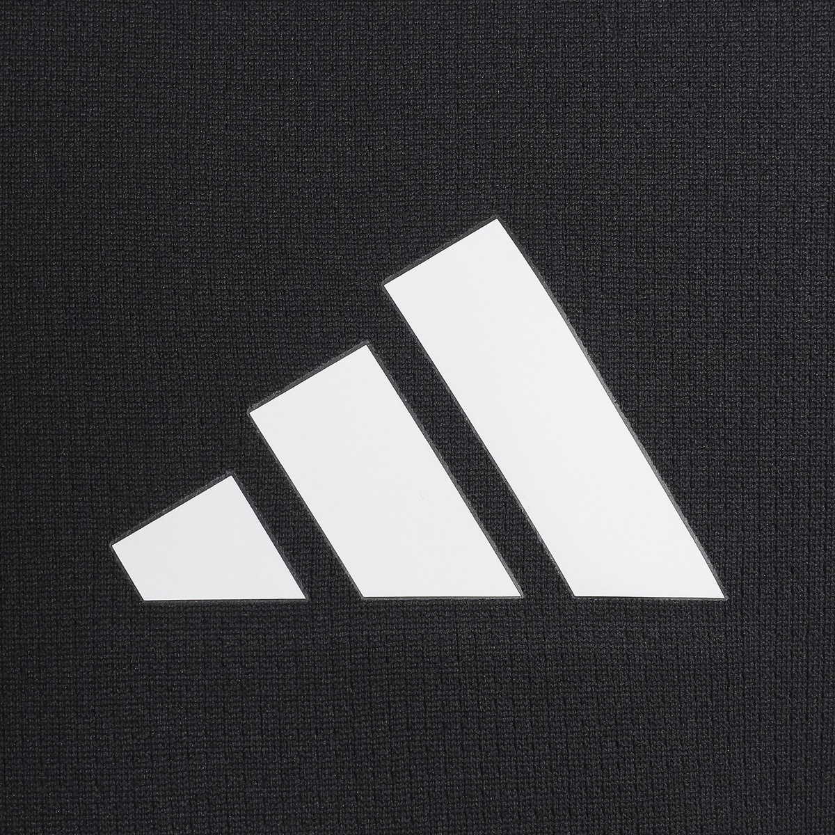 MCOOLBACKPTシャツ