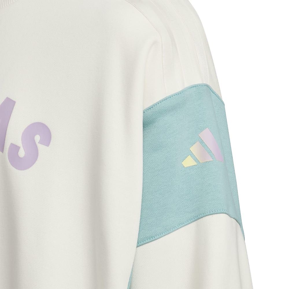 YGGPクルーネックスウェット