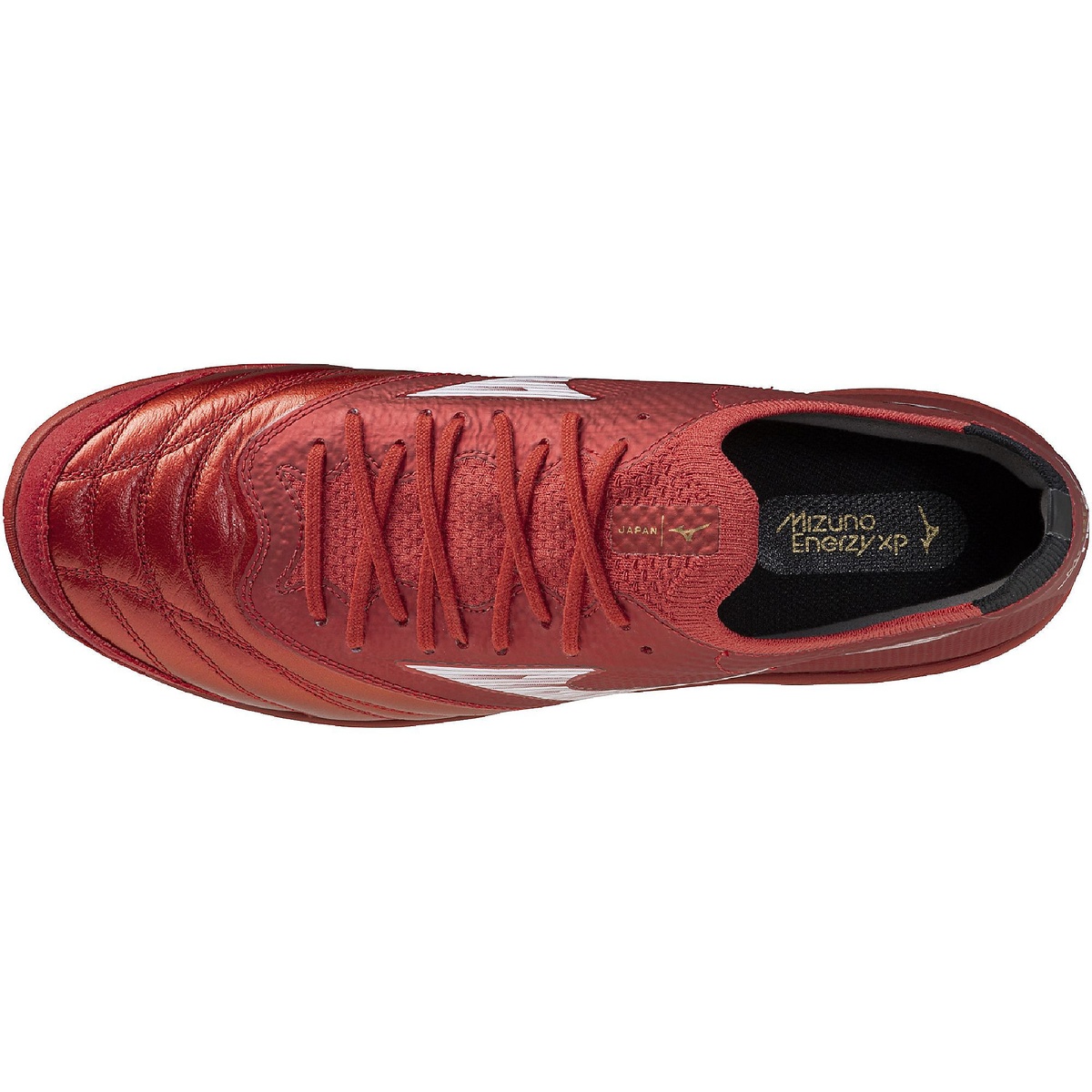 モレリアネオ サラ ベータ JP TF