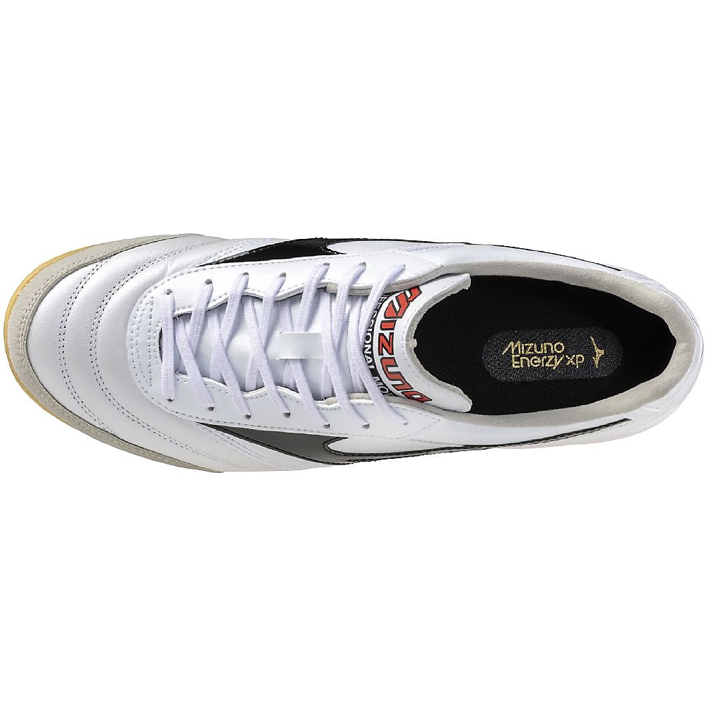 モレリア サラ ELITE IN