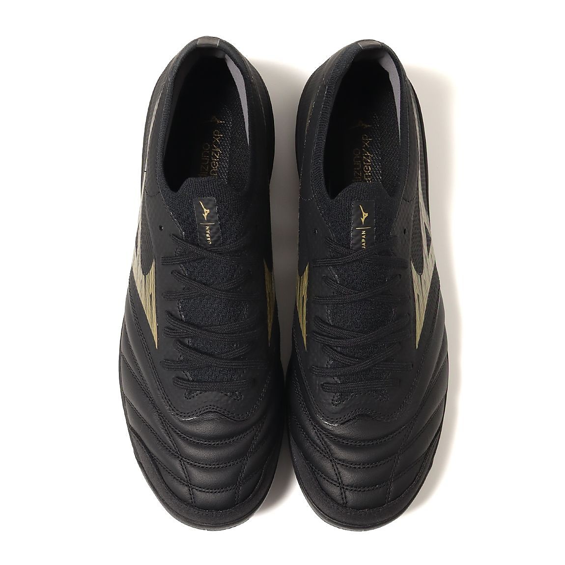 モレリアネオ サラ ベータ JP TF