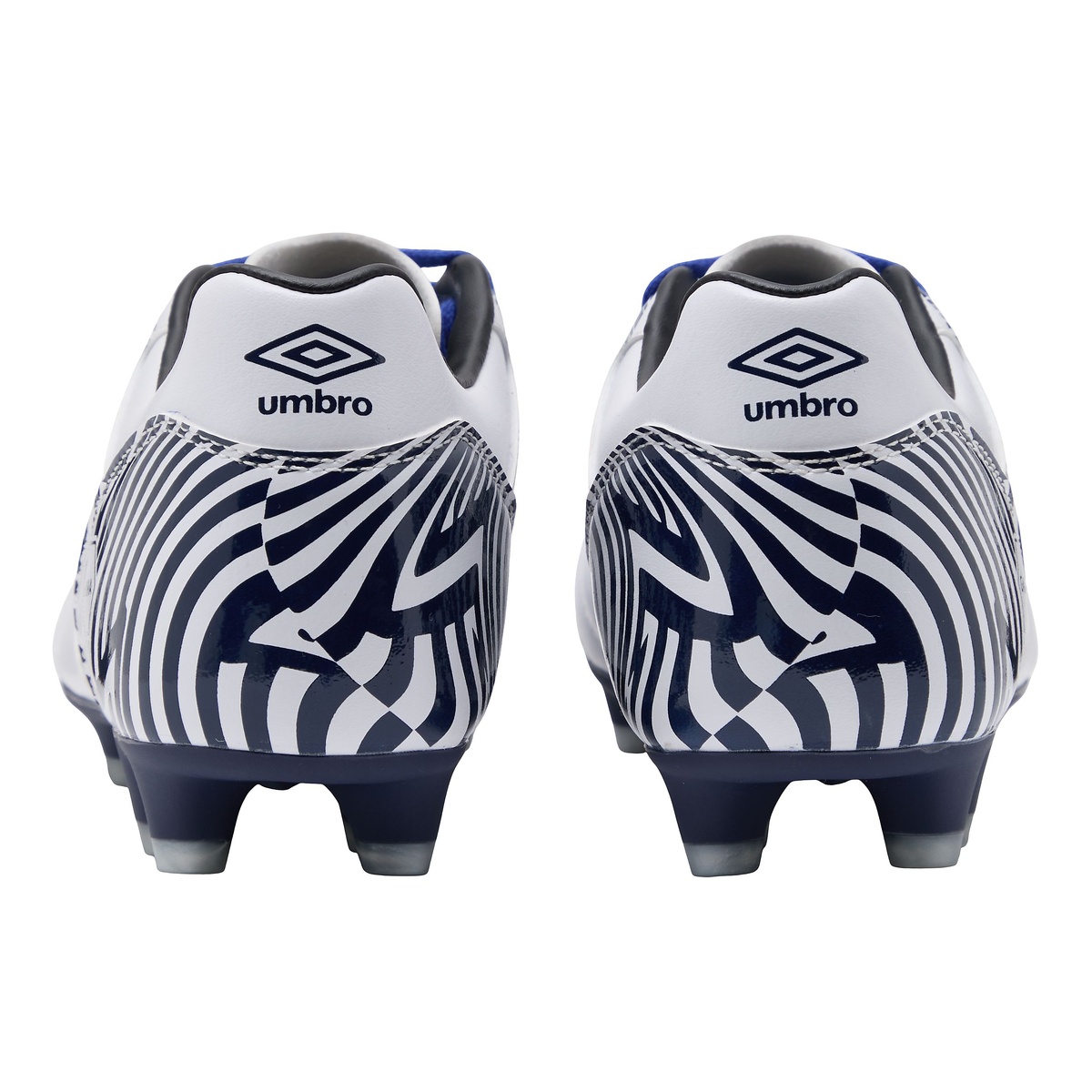 アクセレイタ- +GAINA HG