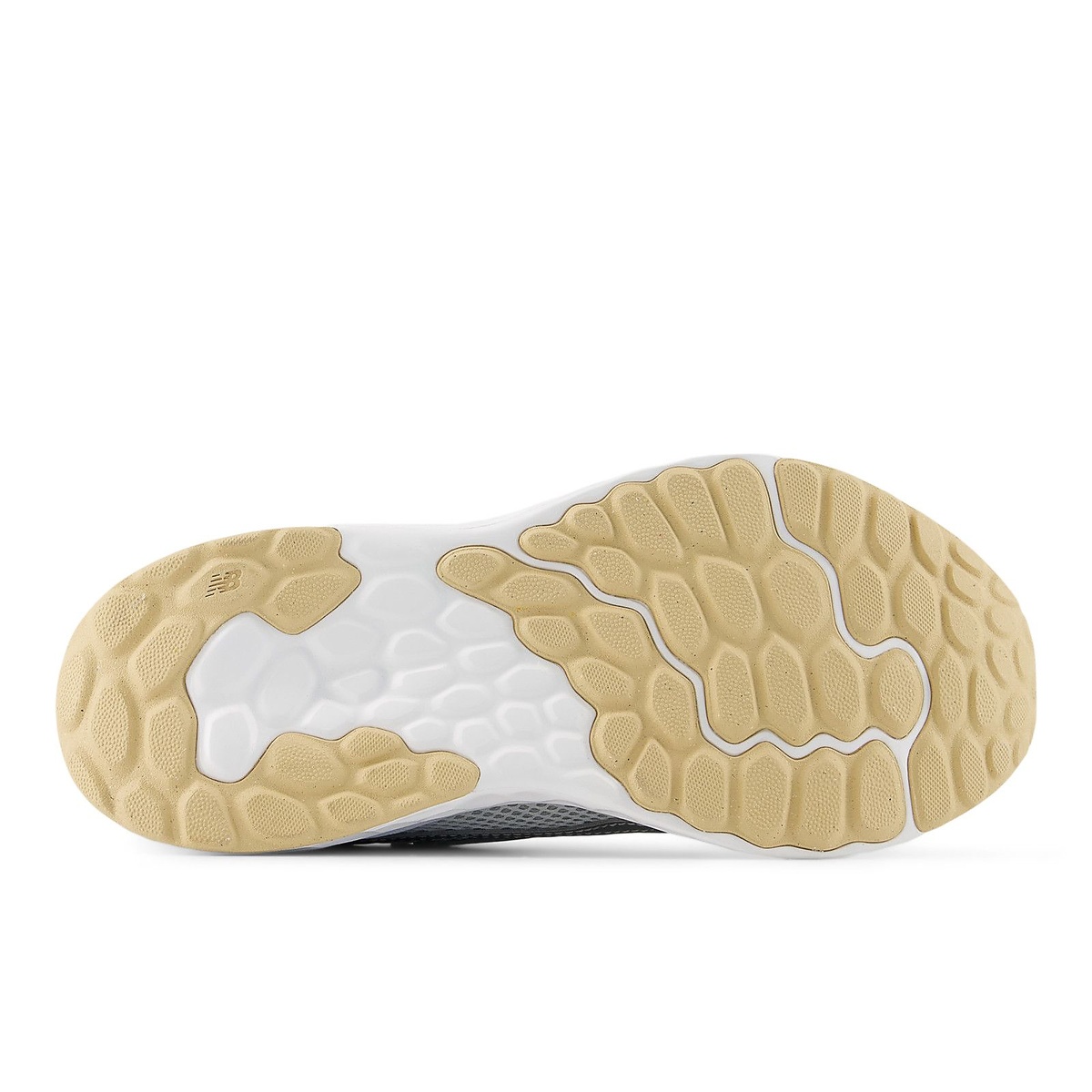 Fresh Foam Arishi v4 Tiralux