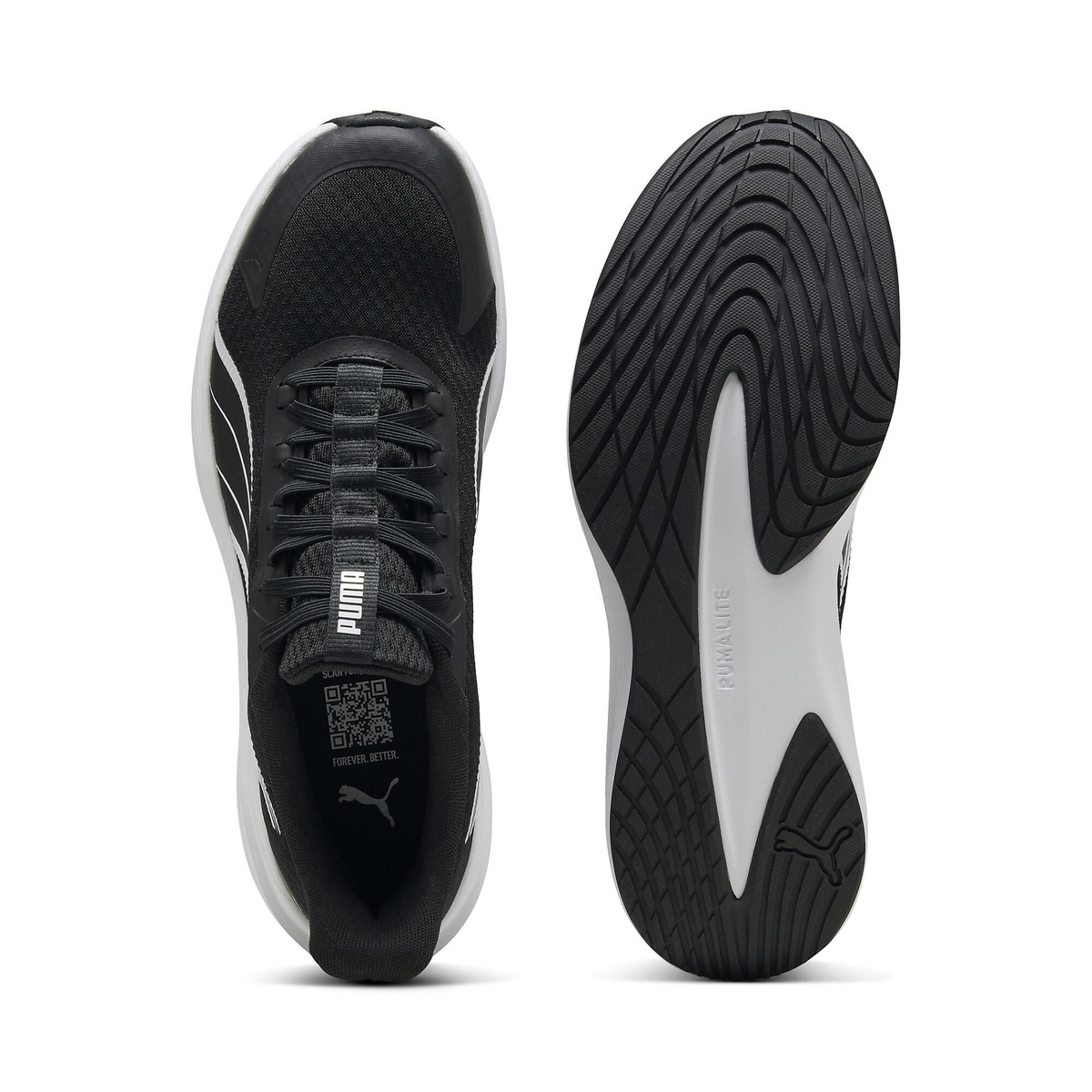 ダッシャー LITE EASE IN