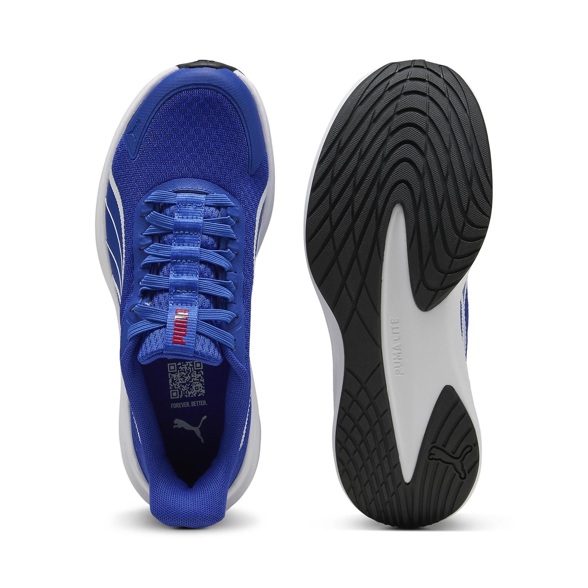 ダッシャー LITE EASE IN JR