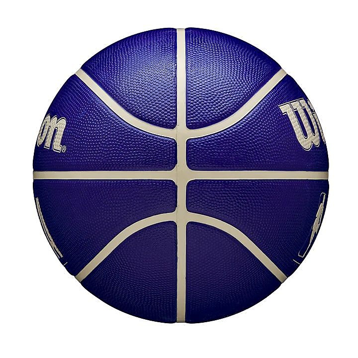 NBA DRV バスケットボール  7号(NBA DRV BSKT INDIGO 7)