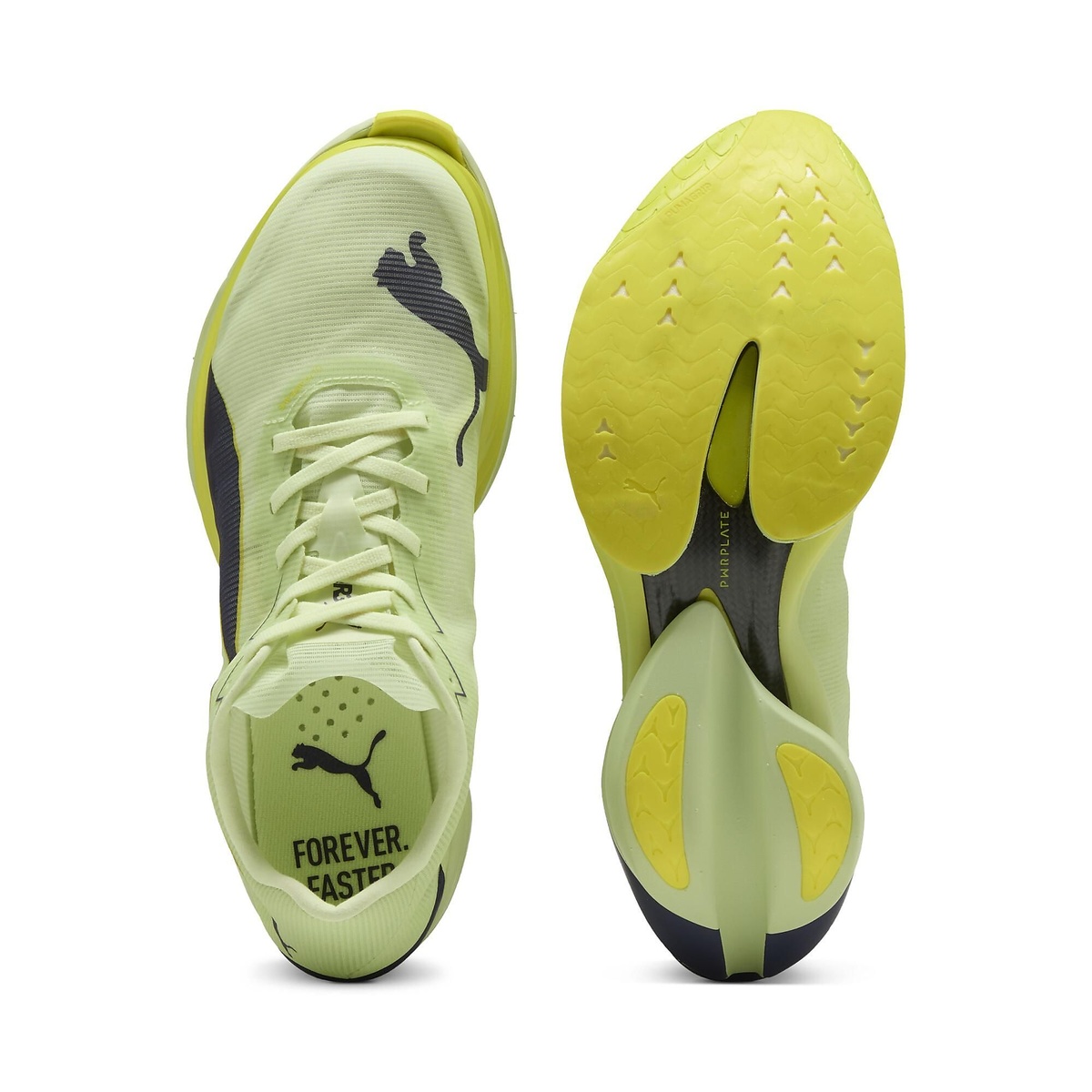 ファストアール ニトロ エリート 3