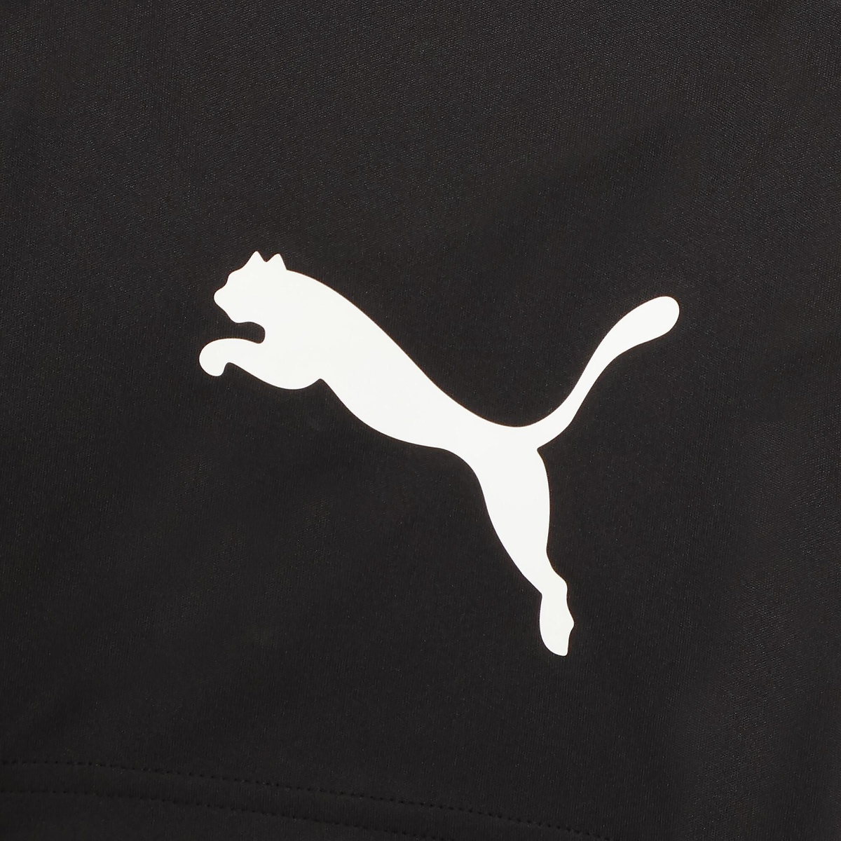 INDIVILIGA SSシャツ