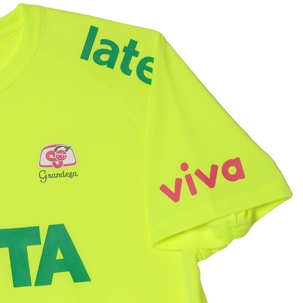 GDZプラクティスシャツ