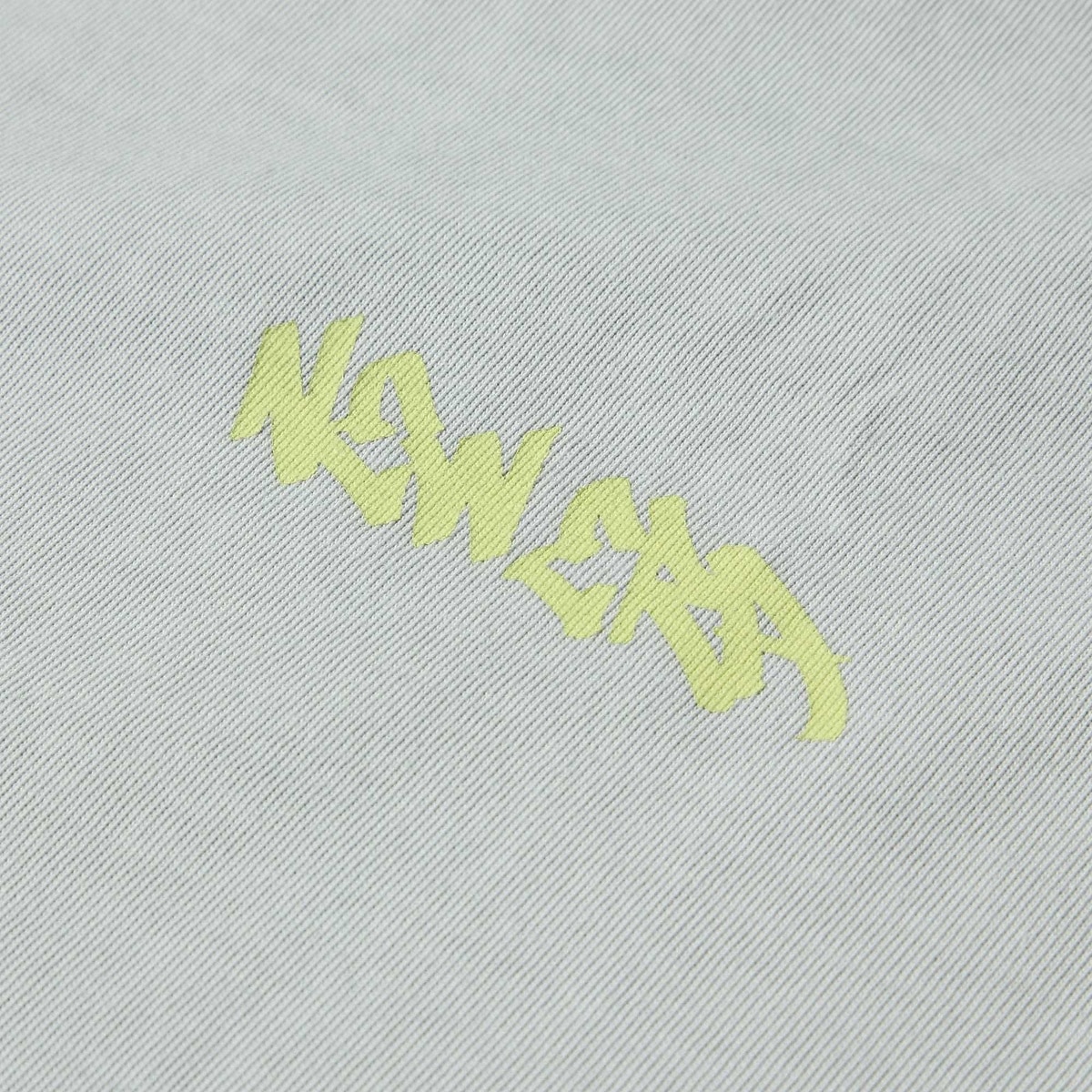 SS GARMENT DYE CT T