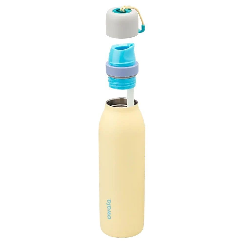 FreeSip Twistサニーデイズ530ml