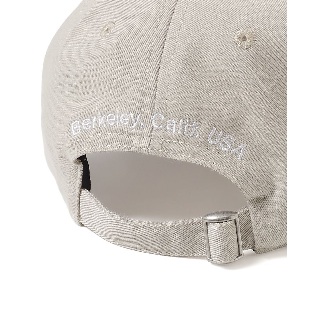 TNF LOGO CAP (TNFロゴキャップ)